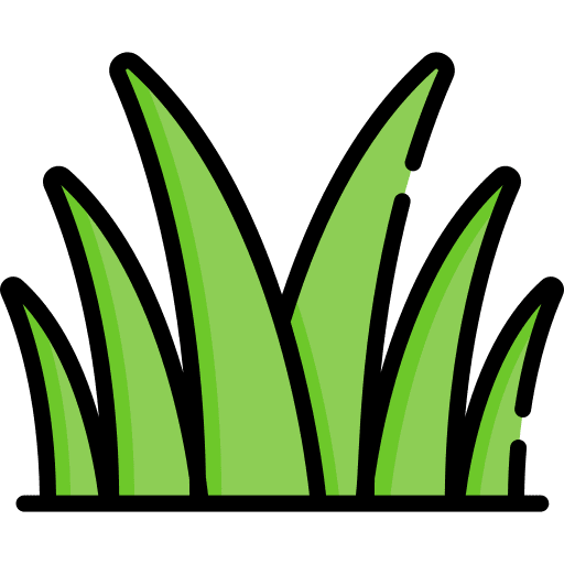 Cosmos Horizon Phase II